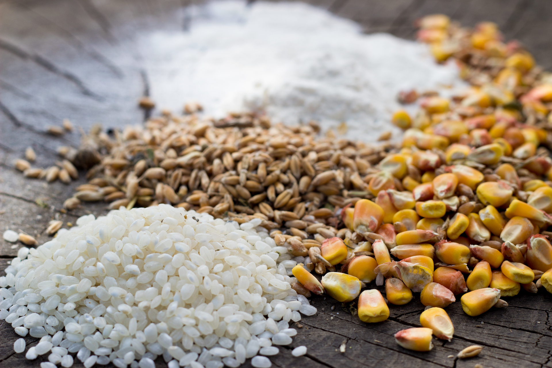 Grains food mix on wooden background