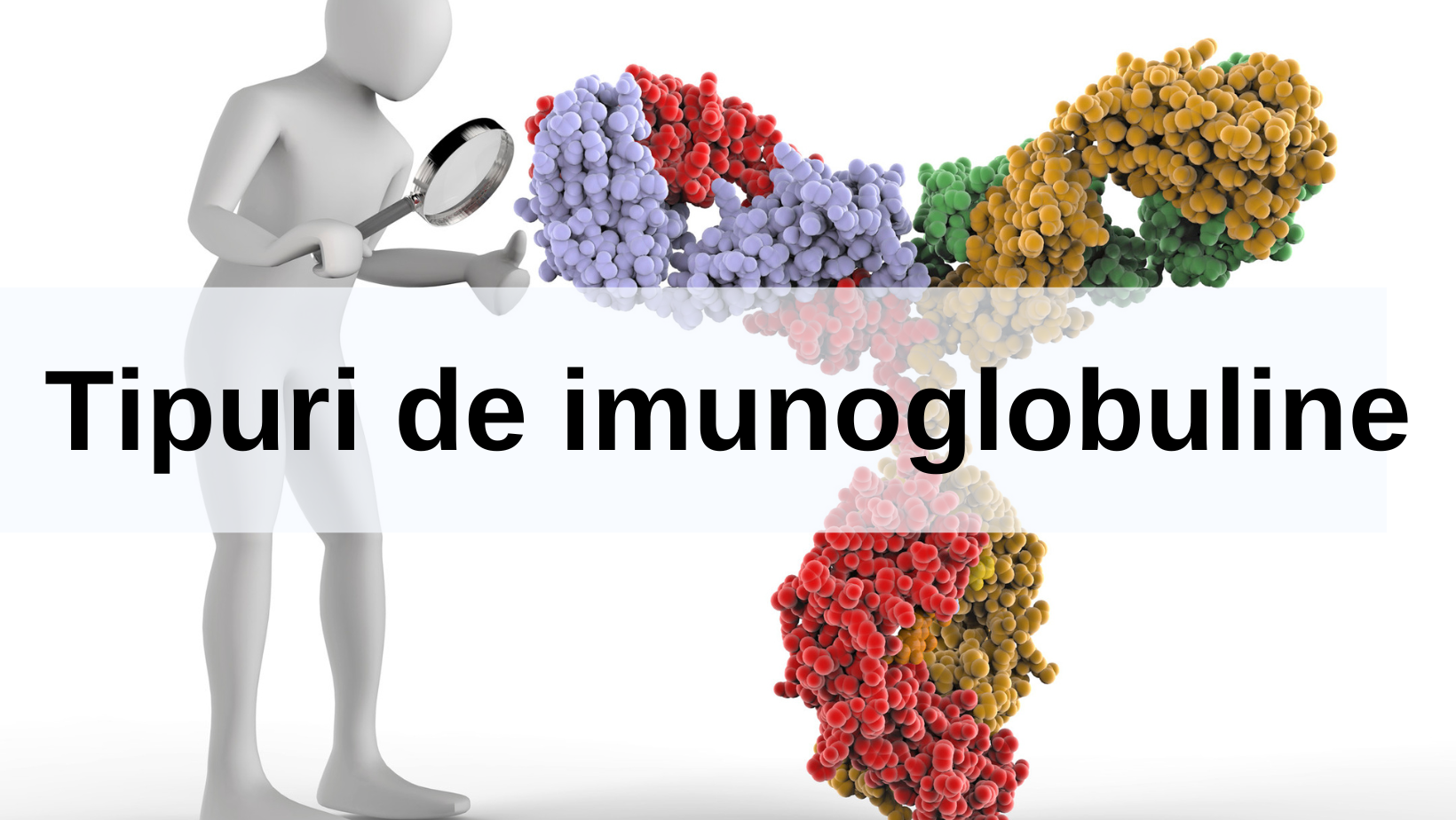 Tipuri de imunoglobuline cover